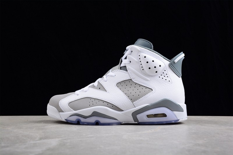 Nike Air Jordan 6