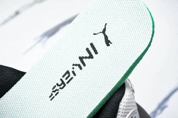 Puma Inverse Rev 401765 01 
