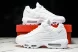 Nike Air Max 95 x Denham CT1268 100 