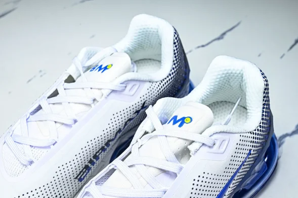 Nike Air Max Phoenix FZ5307-101 