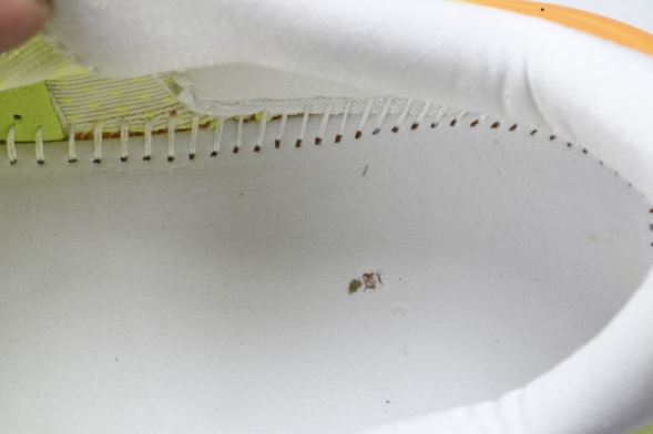 Hoka Rincon 4 1155131 FTLT 