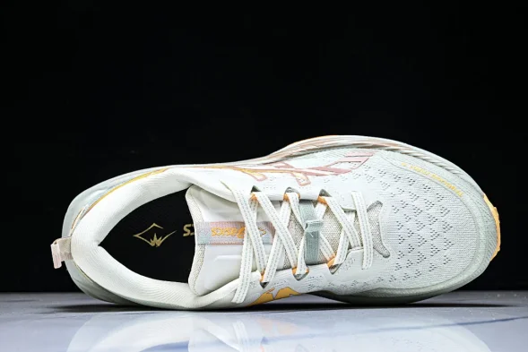 Asics Trabuco Max 4 1012B769-100 