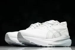 Asics Gel-kayano 31 1012B794-100