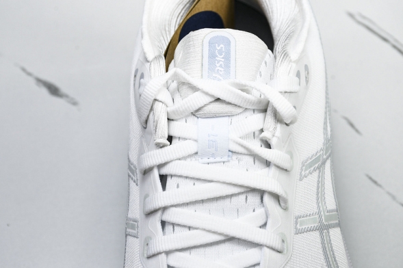 Asics Gel-kayano 31 1012B794-100 