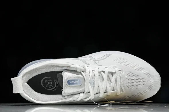 Asics Gel-kayano 31 1012B794-100 