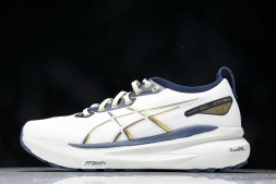 Asics Gel-kayano 31 1011B955-100