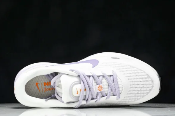 Nike Journey Run FJ7765 100 