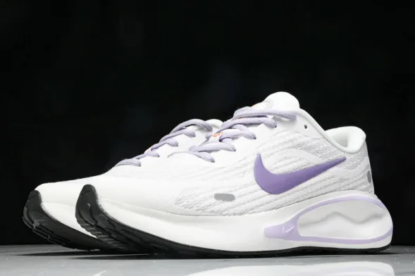 Nike Journey Run FJ7765 100 