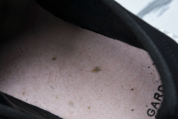 Miu Miu Calzature Donna group Vitello Deco 