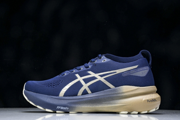 Asics Gel-kayano 31 1012B960-400  
