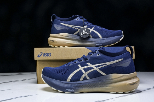 Asics Gel-kayano 31 1012B960-400  