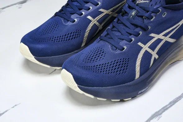 Asics Gel-kayano 31 1012B960-400  