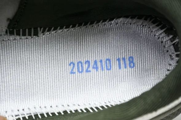 Mizuno Astro Plus D1GH240110 