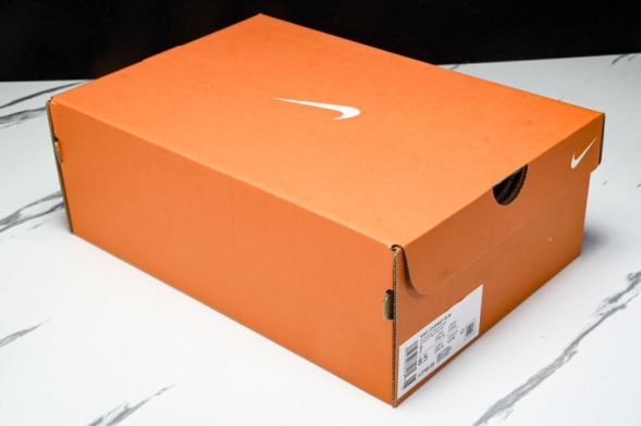 Nike Journey Run FJ7765 102 