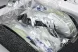 Nike Jordan Spizike Low HV5969 003 