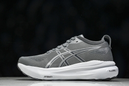 Asics Gel-kayano 31 1012B671-020