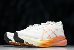 Asics Gel-kayano 31 1012B670-100