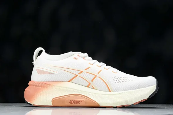 Asics Gel-kayano 31 1012B670-100 