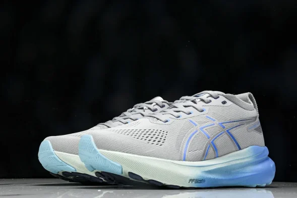 Asics Gel-kayano 31 1012B670-022 