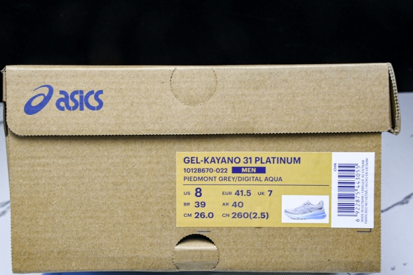 Asics Gel-kayano 31 1012B670-022 