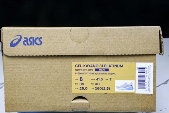 Asics Gel-kayano 31 1012B670-022 