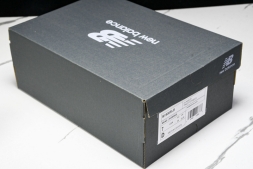 New Balance 1906 M1906RLB