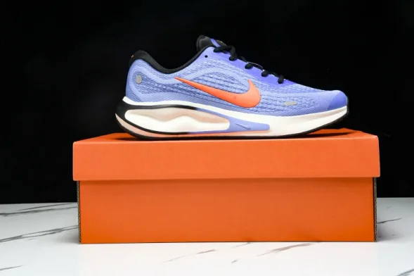 Nike Journey Run FN0228 400 