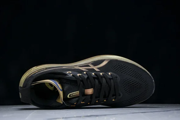 Asics Gel-kayano 31 1011C099-001 