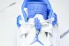 Nike Jordan Spizike Low FQ1759 141 