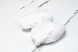 Asics Gel-kayano 31 1011B995-021 