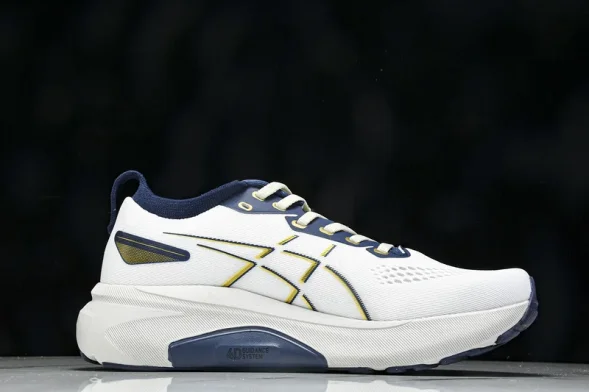 Asics Gel-kayano 31 1011B995-021 
