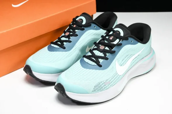 Nike Journey Run FN0228-300 