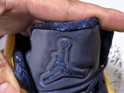 Nike Air Jordan 5 SP Michigan CQ9541-704