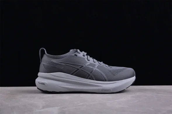 Asics Gel-kayano 31 1011B867-020 