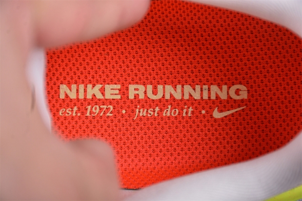 Nike Air Zoom Pegasus 41 FD2722-100 