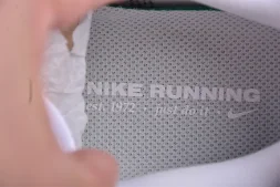 Nike Air Zoom Pegasus 41 FD2722-102