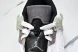 Nike Jordan Spizike Low HV5974-111 