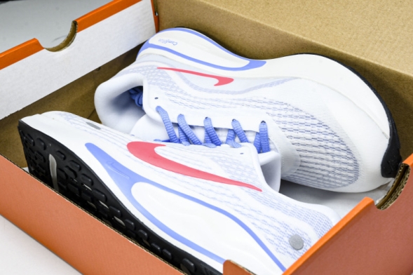 Nike Journey Run FJ7765-107 