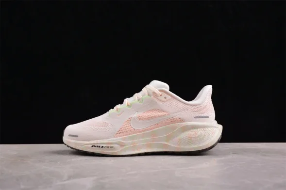 Nike Air Zoom Pegasus 41 HM5539-133 