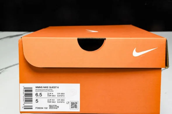Nike Quest 6 FD6034-102 