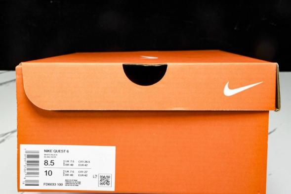 Nike Quest 6 FD6033-100 