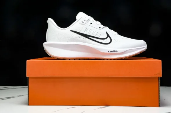 Nike Quest 6 FD6033-100 
