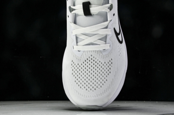 Nike Quest 6 FD6033-100 