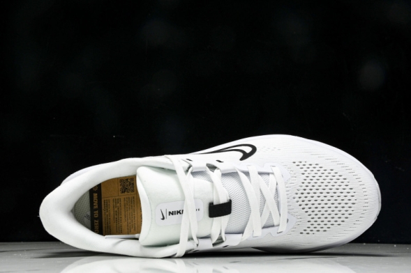 Nike Quest 6 FD6033-100 