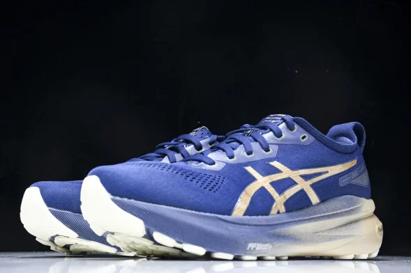Asics Gel-kayano 31 1011B950-400 
