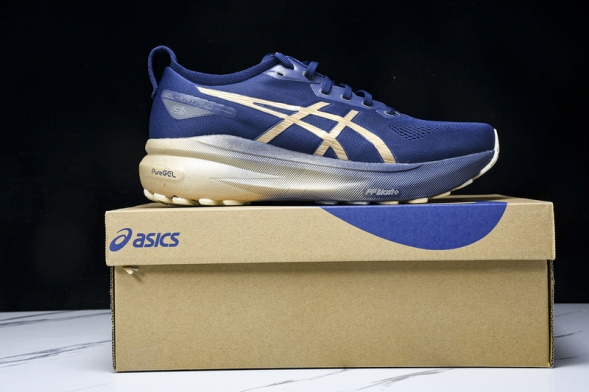 Asics Gel-kayano 31 1011B950-400 