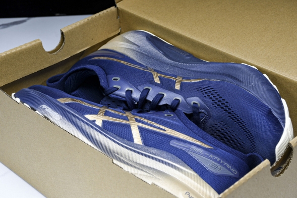 Asics Gel-kayano 31 1011B950-400 