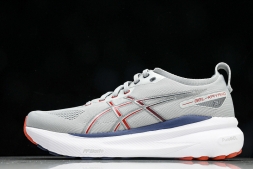 Asics Gel-kayano 31 1011B867-021