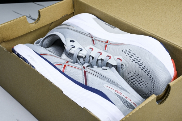 Asics Gel-kayano 31 1011B867-021 