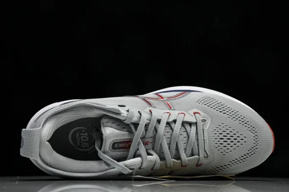 Asics Gel-kayano 31 1011B867-021 